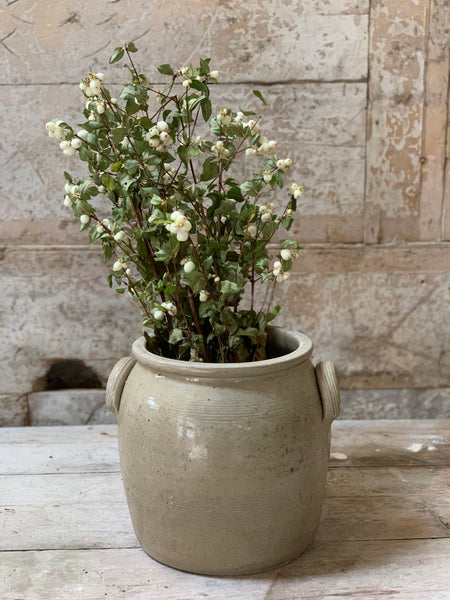 French Confit Jar Large