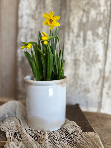 Vintage Creil Montereau French Confiture Pot
