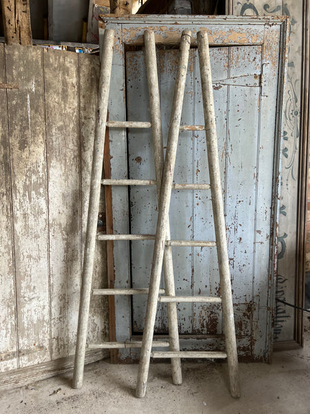 Pair of chippy paint fruit picking ladders