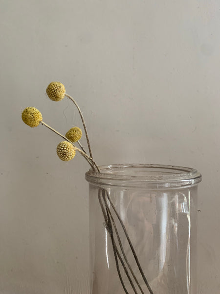 Gorgeous Vintage Glass Vase