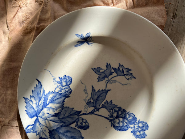 Gorgeous Vintage French Longwy Berries Plate