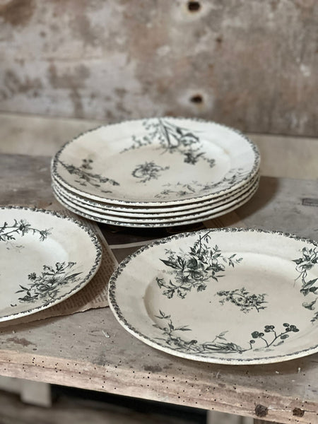 Vintage Transferware Terre de Fer Plates