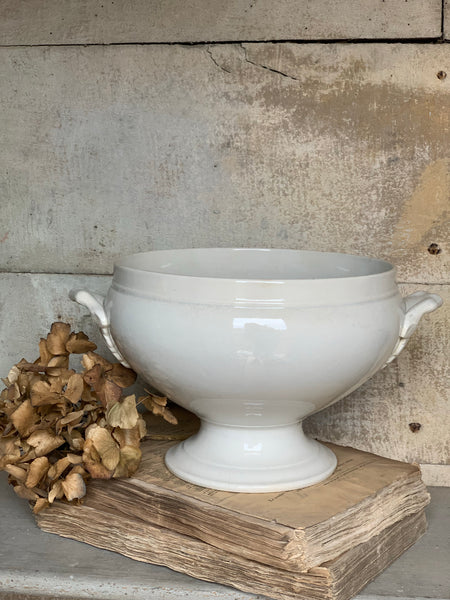 Stunning Soupiere (with rare handles)