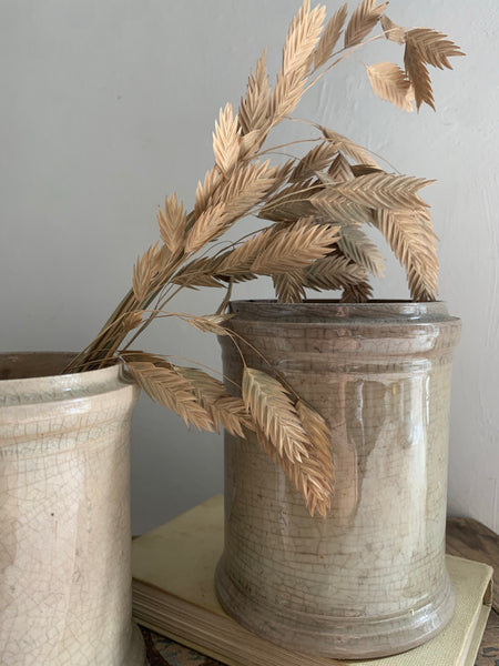 Antique Apothecary Jars