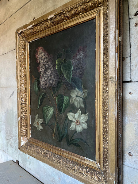 Stunning Lilac on Canvas