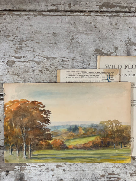 Vintage Watercolour (Autumnal)