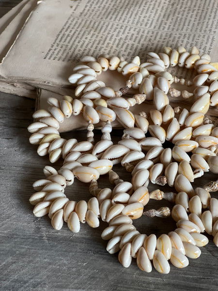 Vintage Shell Decorative Piece