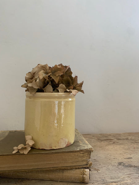 Vintage French Preserves Jar