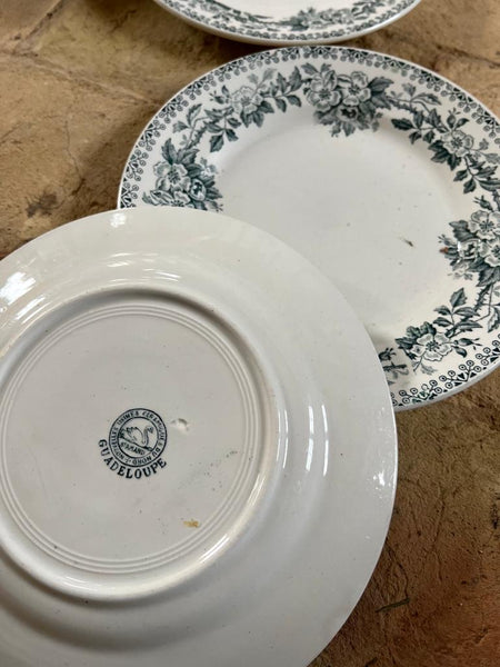 Green French Transferware Plates