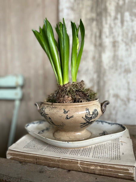 Vintage French Sauce Dish