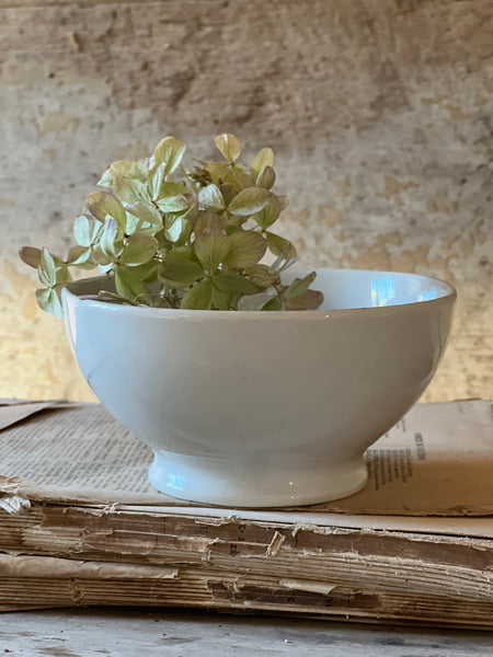 Plain French Cafe au Lait bowl