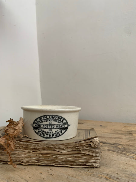 Vintage Plumtree Pot Candle in Earl Grey & Cucumber